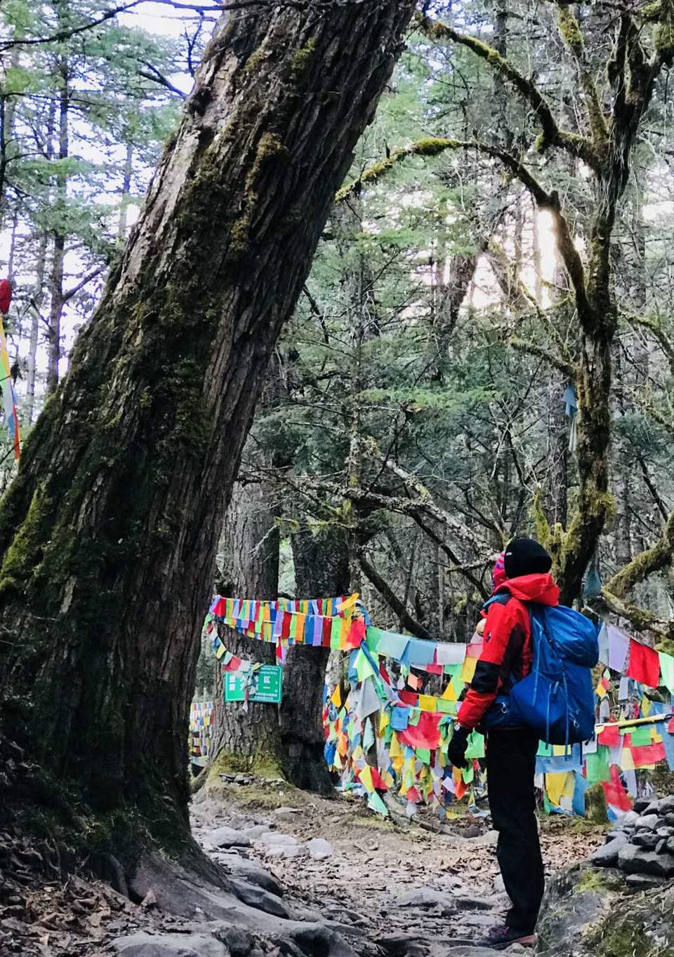 微信图片_20180105180534