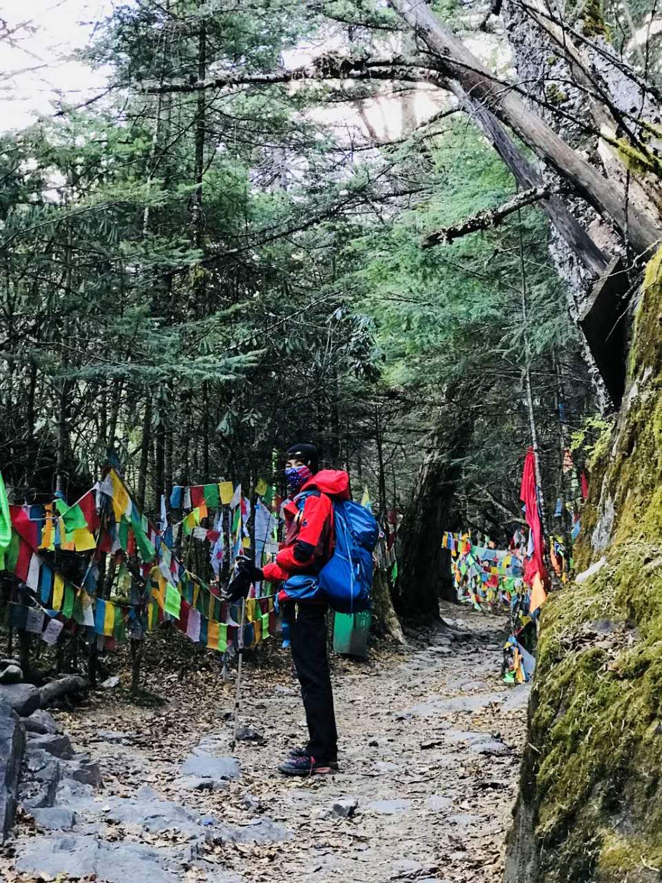 微信图片_20180105180537