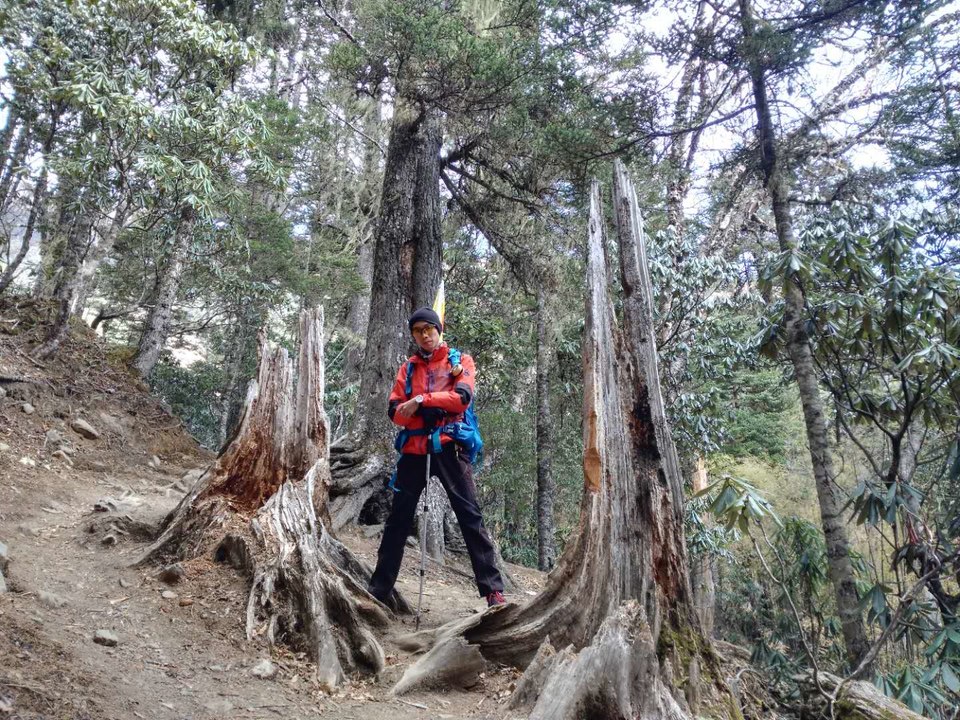 微信图片_20180105180541