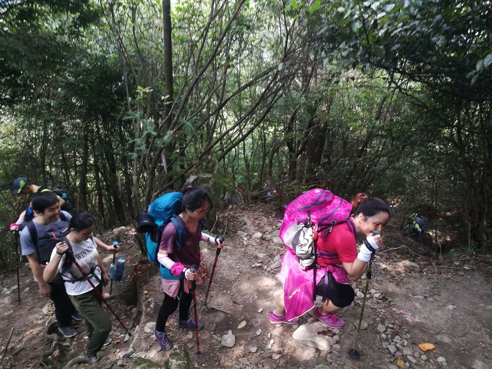 IMG_20180721_095107_1