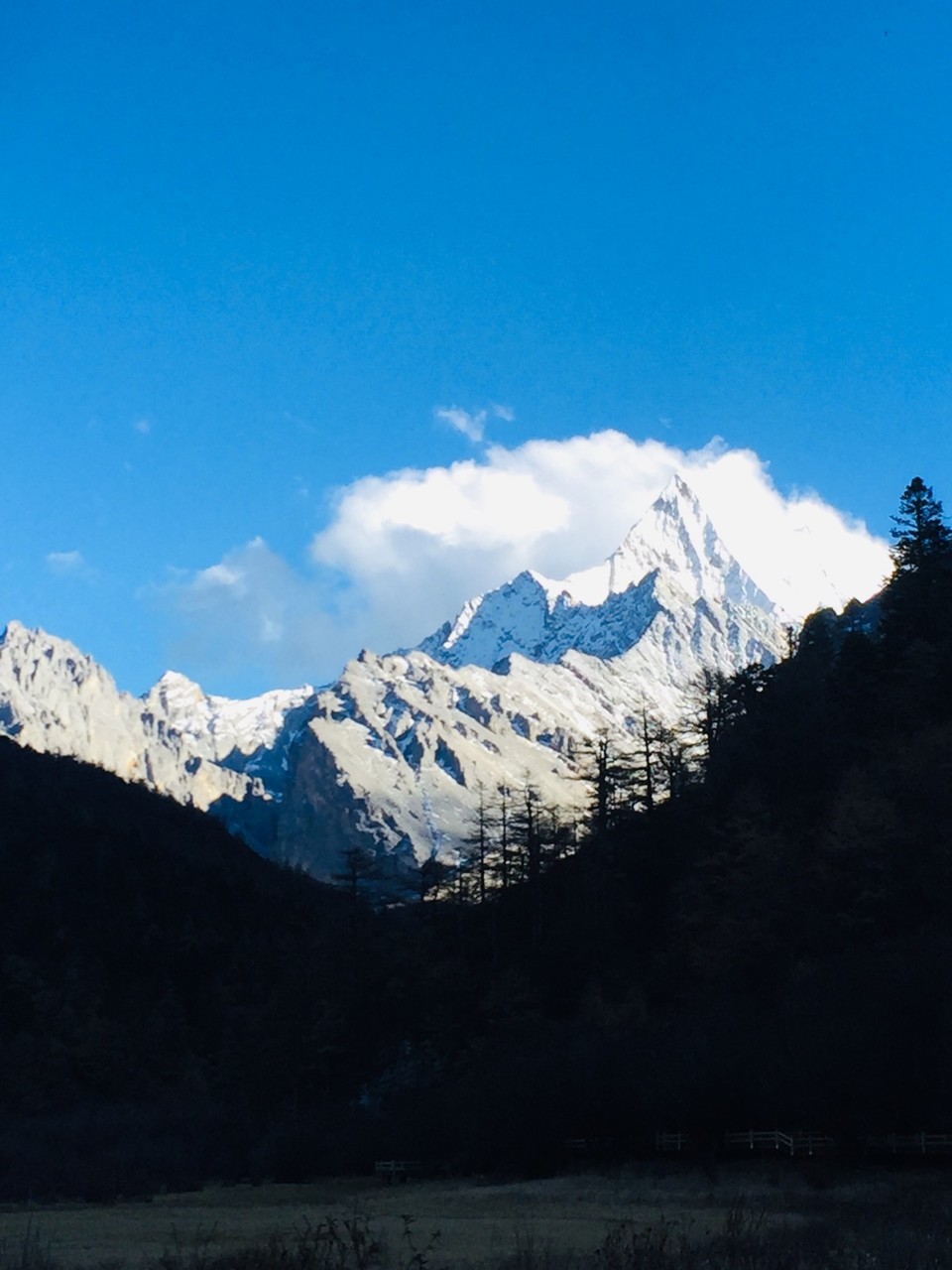 mmexport1573218975354