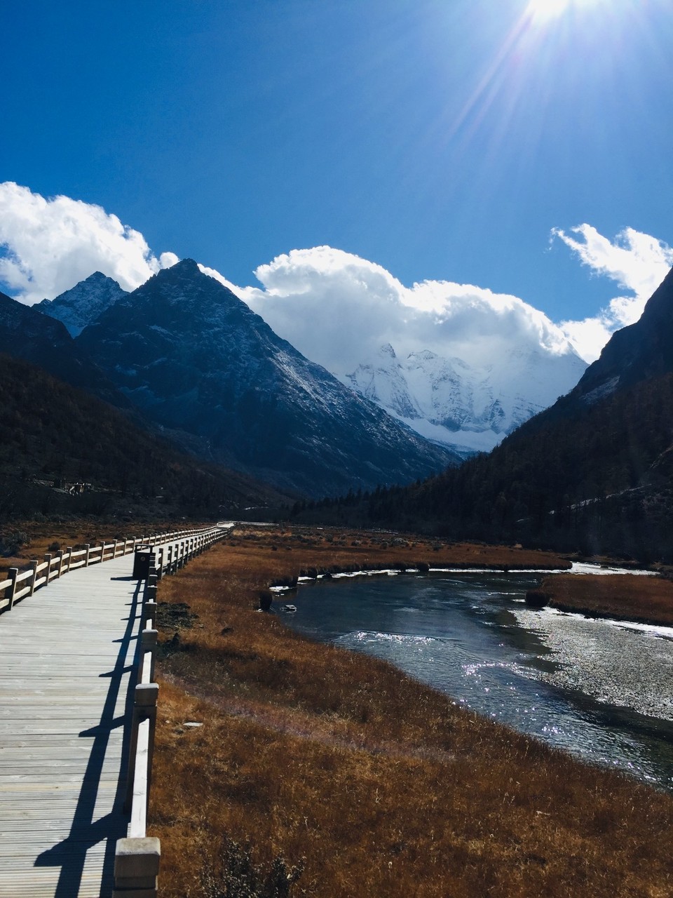 mmexport1573218965265