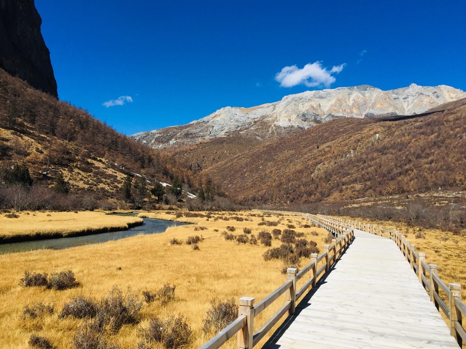 mmexport1573218957603