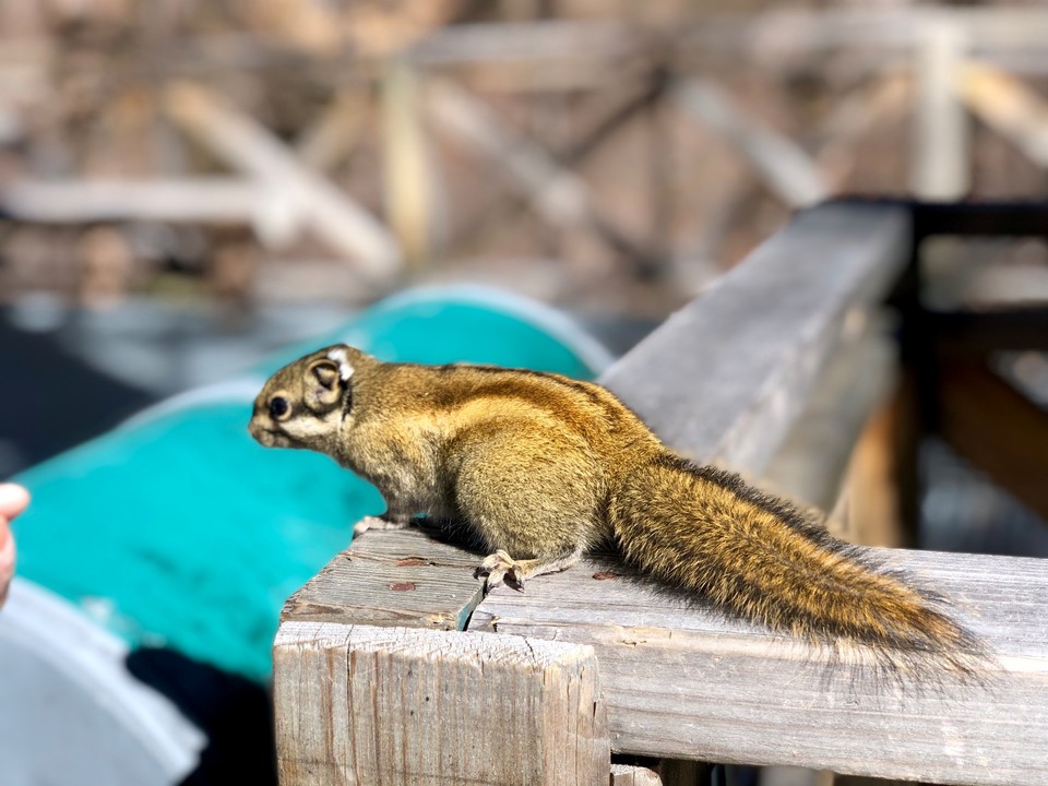 mmexport1573133737905