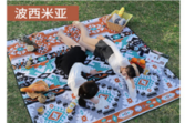 野餐地垫