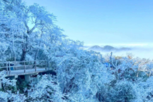 冰雪天气【莽山+云冰山】南方雪乡云冰山+冰雪莽山2天游