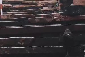 福建小垦丁——镇海角