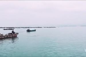 福建小垦丁——镇海角