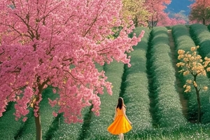 赠航拍【暖冬花事8天】版那-无量山樱花谷-《云南虫谷》哀牢山-沧源-金山原始森林-翁基古寨-孟连8天深度游