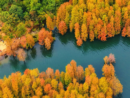 徒步【中山五桂山】徒步打卡中山“小九寨”，邂逅西坑尾水杉林