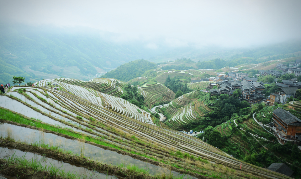 龙脊梯田