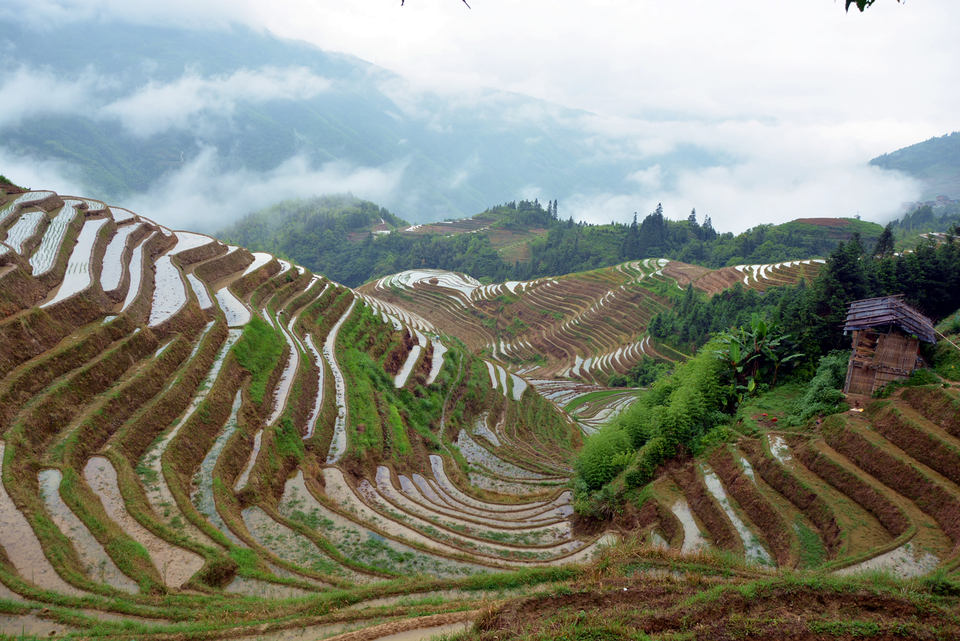 龙脊梯田