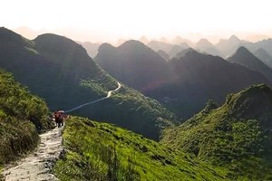 特价59【登顶靘雾山】走进无人村，穿越怪石林