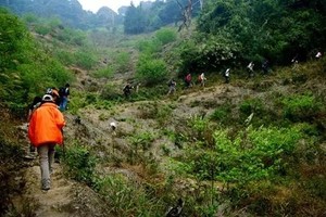 3.28/3.29【黄茶园】登从化第三峰，徒步溪头村，品乡间小吃
