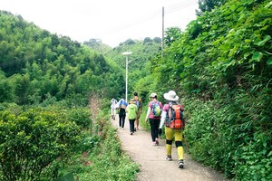 10号成行 从化星溪徒步，穿越十里竹林，品竹筒饭 1天