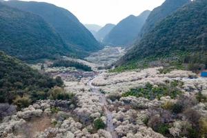 1.29成行【水浪花谷】漫山遍野花开，打卡“清远小林芝”