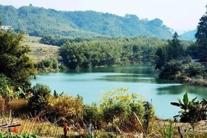 6.6成行【广宁·古水河】徒步肇庆江边郊野径，穿越十里竹海