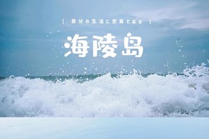 4.4【海陵岛秘境2天游】打卡北洛秘境，十里银滩游泳，沙滩烧烤放烟花，渔船出海，吃美味海鲜