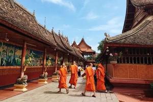 5.1-5成行【广州-昆明】 西双版纳 5天 动车往返