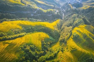 爆款【龙脊黄姚2天2夜】一次玩转龙脊大寨+平安寨，赏梯田最美秋色，千年古镇诗意黄姚