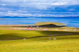 【问水·三江源】三江源自然保护区—尕朵觉沃＆阿尼玛卿神山—玉树—冬格措纳湖—星星海7日SUV探秘之旅