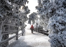 2号成行【莽山1天】漫步悬空栈道、观莽山云海冰挂雾凇