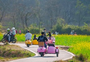 2.28/3.7【花季阳朔2天】骑行遇龙河赏油菜花海，体验手撑竹筏游，徒步漓江精华段，西街艳遇