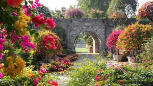 火热加期！12月6日【广100第五站·马岭观花】藏在花都的“莫奈花园”：草原14公里千人徒步大会