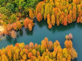 12.20【中山五桂山】登白云顶，徒步西坑尾水杉林，打卡中山“小九寨”