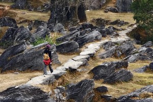 12.27【梅子坪古道】打卡广东版墨石公园，徒步千年古道，深入喀斯特峰林