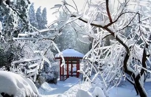 元旦1.1成行【庐山3天】观雪景 赏雾凇 打雪仗 迎新年