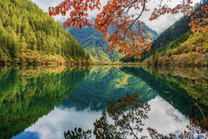 2.17-22【广深出发·成都6天】天府成都美食-九寨沟-黄龙 动车往返