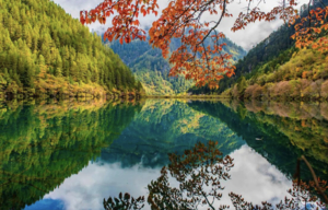 5.1-5成行【广深出发·成都5天】熊猫基地-汶川地震遗址-九寨沟-黄龙 动车往返