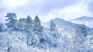2.15-21【广深出发·湖北过大年7天】黄鹤楼-三峡大坝-神农架-襄阳古城-古隆中-习家祠-武汉