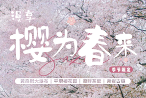 2026漫享·樱为春来-遇见山水间平坝万亩樱花园4天3晚--贵州花季限定