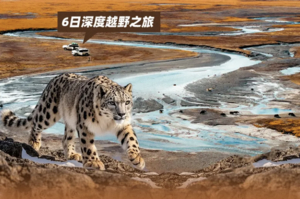 【大美山野·三江源】探秘三江源+青藏中线+藏东雪山冰川盛宴·越野之旅