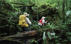 2026旷野贵州 | 荔波茂兰漏斗森林+四洞天穿越+猴子沟+螺丝壳徒步5日