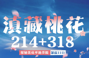 【滇藏桃花】丽江-梅里雪山-盐田-然乌湖-来古冰川-鲁朗-墨脱-波密-林芝桃花-索松村-巴松措-新措-拉萨11日游