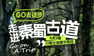 【走进秦蜀古道】金牛古道-米仓古道-拦马墙-普安镇-翠云廊-汉阳古蜀道-抄手铺-云雾山6日休闲徒步