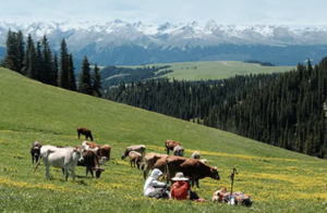 【行走新疆·喀拉峻大环】6日徒步 | 走进天山腹地，探索北疆草原秘境