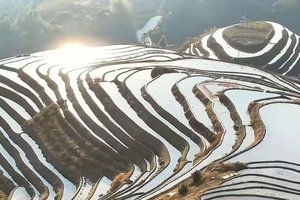 广深出发 端午去桂林，龙脊梯田 + 阳朔山水 3 日游｜小众治愈