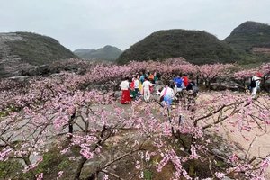 3.28-29桃花节【永州桃花盛宴2天】香花井村万亩桃花+小众城堡勾蓝瑶寨+上甘棠村