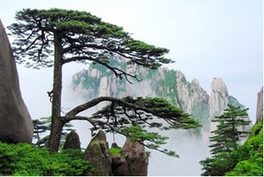 10.1-5/2-6【广深出发·安徽江西5天】黄山-宏村-千岛湖-屯溪老街-景德镇 动车往返