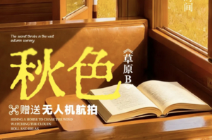梦幻草原·秋色B线6天 | 大兴安岭-根河-恩和-黑山头-满洲里 全程SUV+无人机航拍+草原+边境卡线+打卡G331