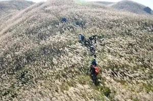 10.11成行【金色大南山·精华线】广东“小武功山”大草原上