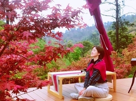 岭南红叶世界醉美红枫、天空之境、魔法森林、童趣咩咩谷、高山茶园一日游