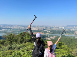 2.1成行【茶山吃鸡】行走高明茶山赏美景，品尝美味茶山鸡，让舌尖行走山野！