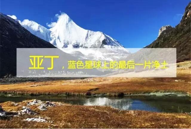QQ截图20160407153702.jpg