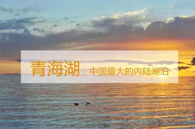 QQ截图20160407154030.jpg