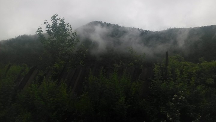 IMG_20160701_103943.jpg